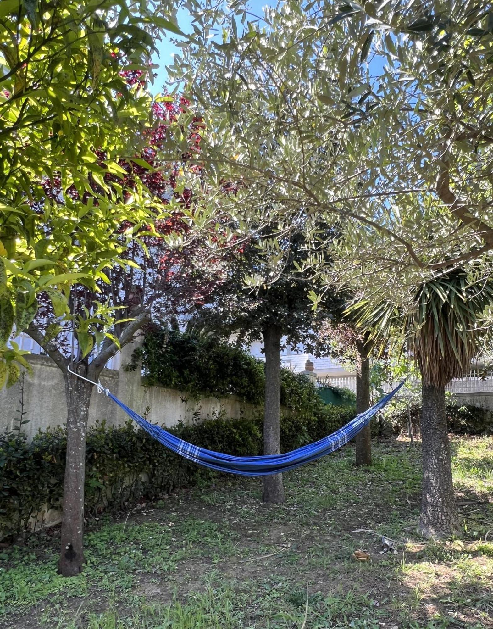 Villa Pescara Eksteriør billede